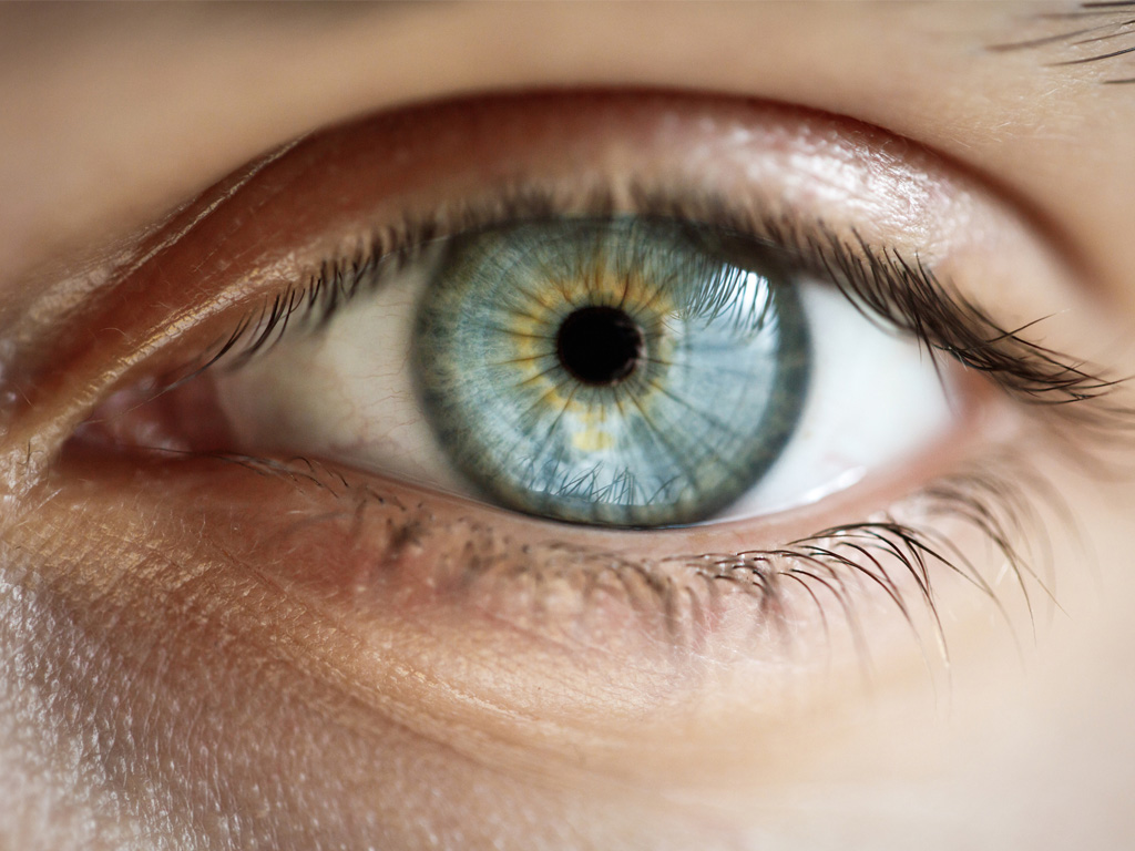 A close up of an eye.