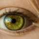 A close up of a green eye.