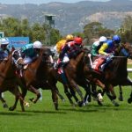 A group of race horses galloping around a race track