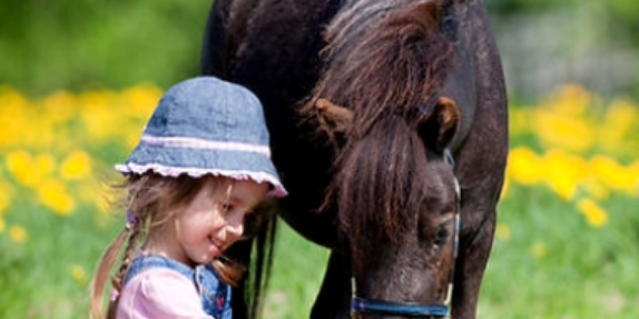 A young girl sitting with a small black pony